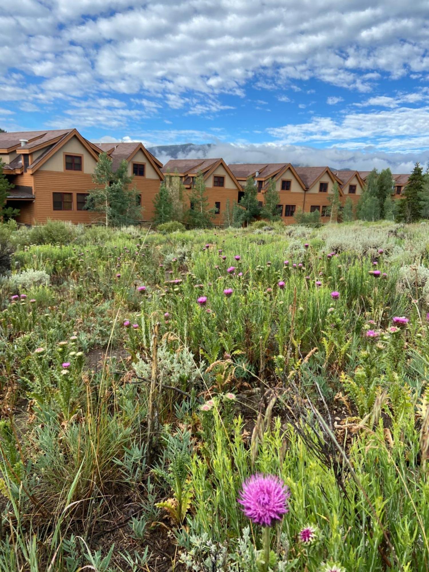 Villa Antlers Gulch 303 Keystone Exterior foto